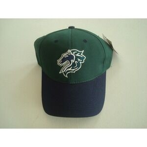MINOR LEAGUE BASEBALL  00S  RARE NEW SCRIPT STRAPBACK HAT CAP VINTAGE EE4